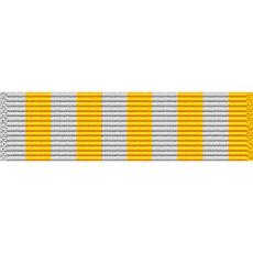 Texas National Guard Outstanding Service Medal
